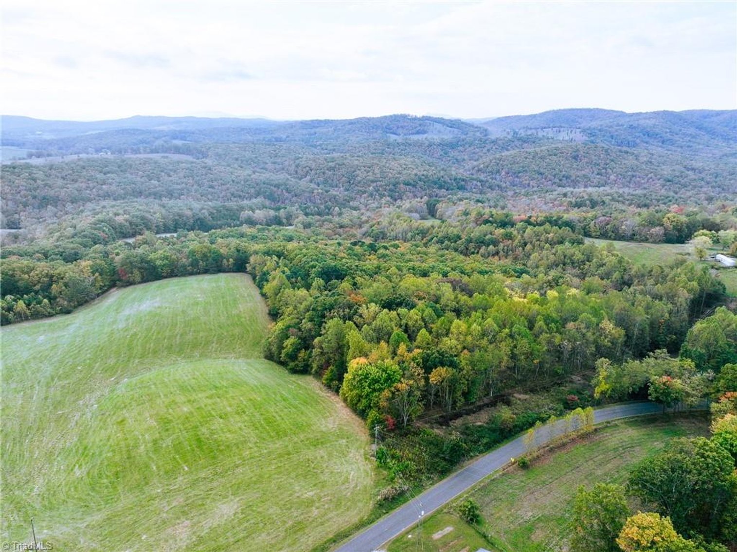Image for Land For Sale in Claudville, Virginia - TBD Pedigo Ridge Road