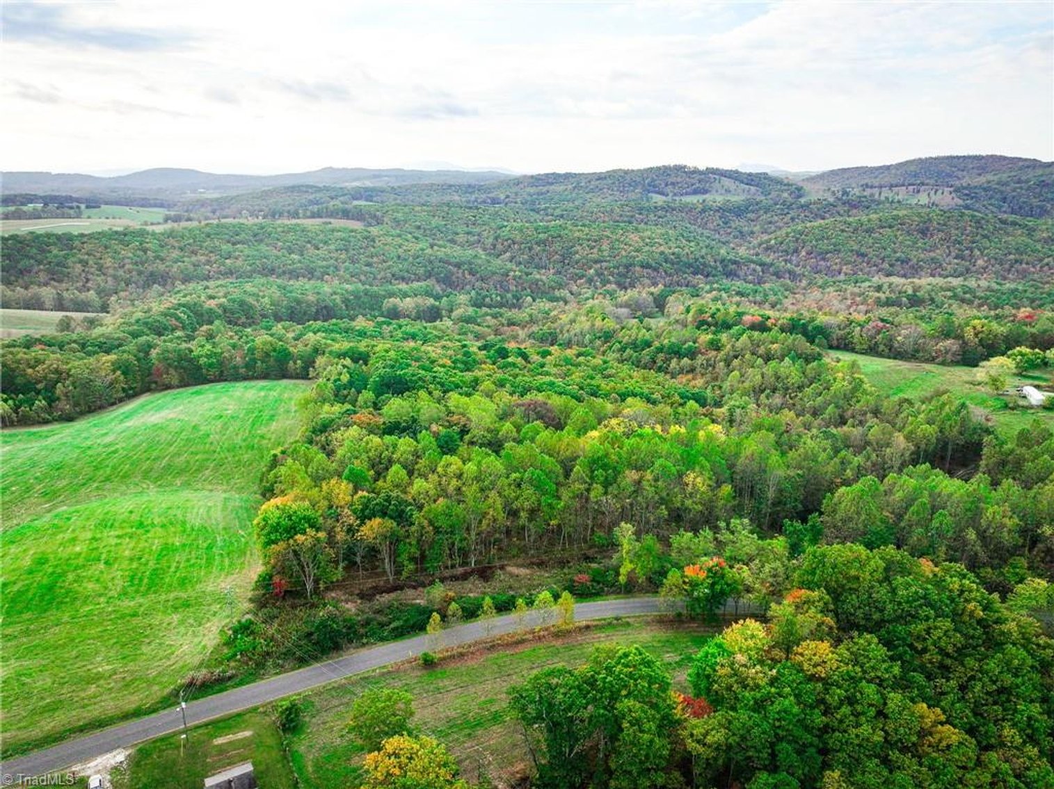 Image for Land For Sale in Claudville, Virginia - TBD Pedigo Ridge Road