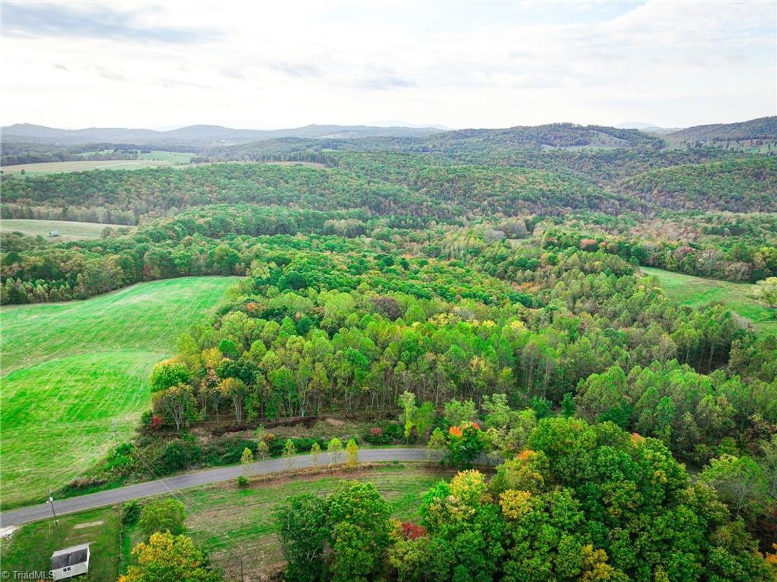 Image for Land For Sale in Claudville, Virginia - TBD Pedigo Ridge Road