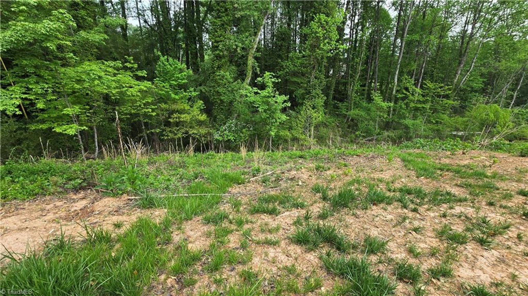 Image for Land For Sale in Mount Airy - Lot# 28 Meadowlark Road