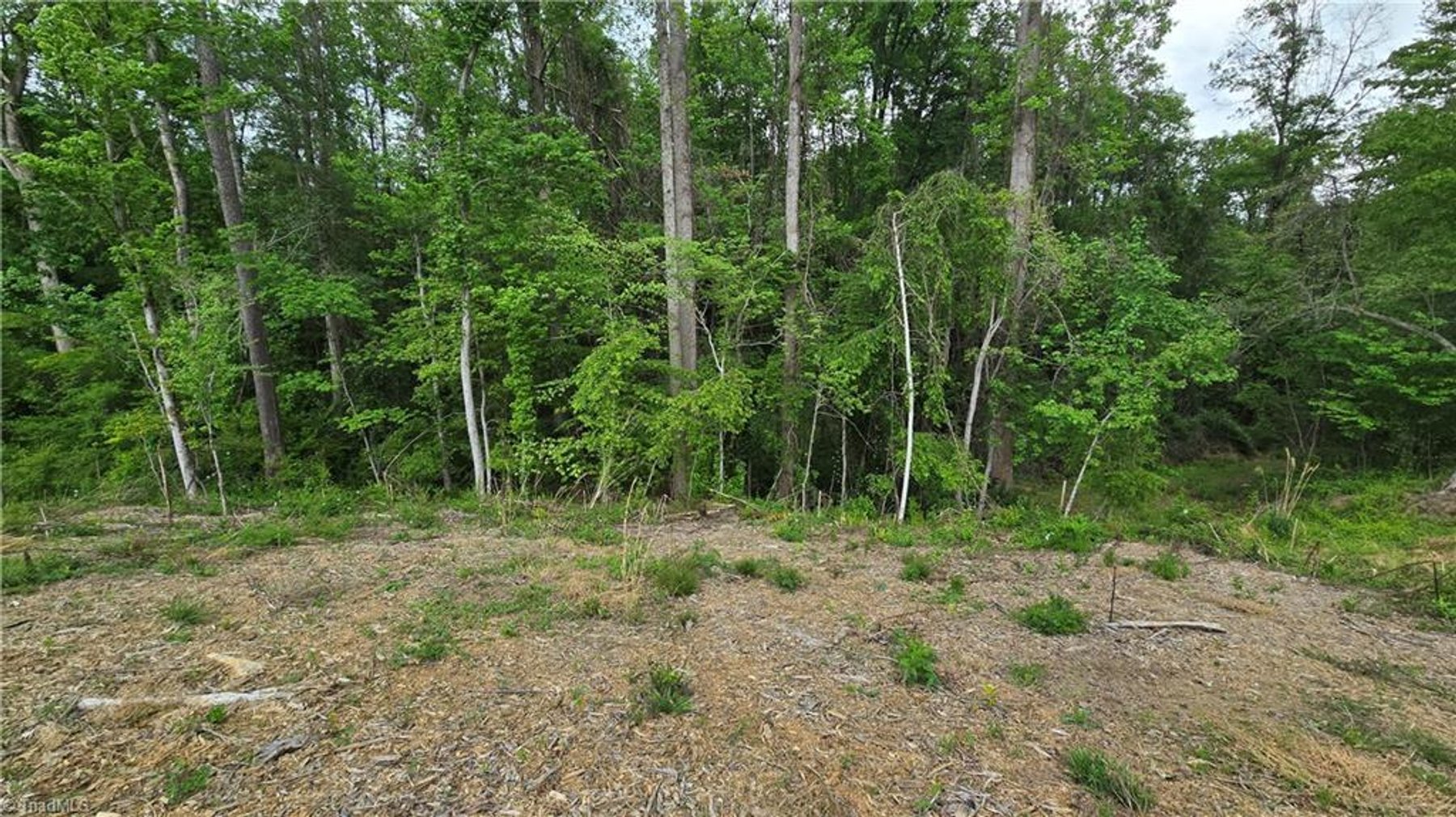 Image for Land For Sale in Mount Airy - Lot# 31 Meadowlark Road