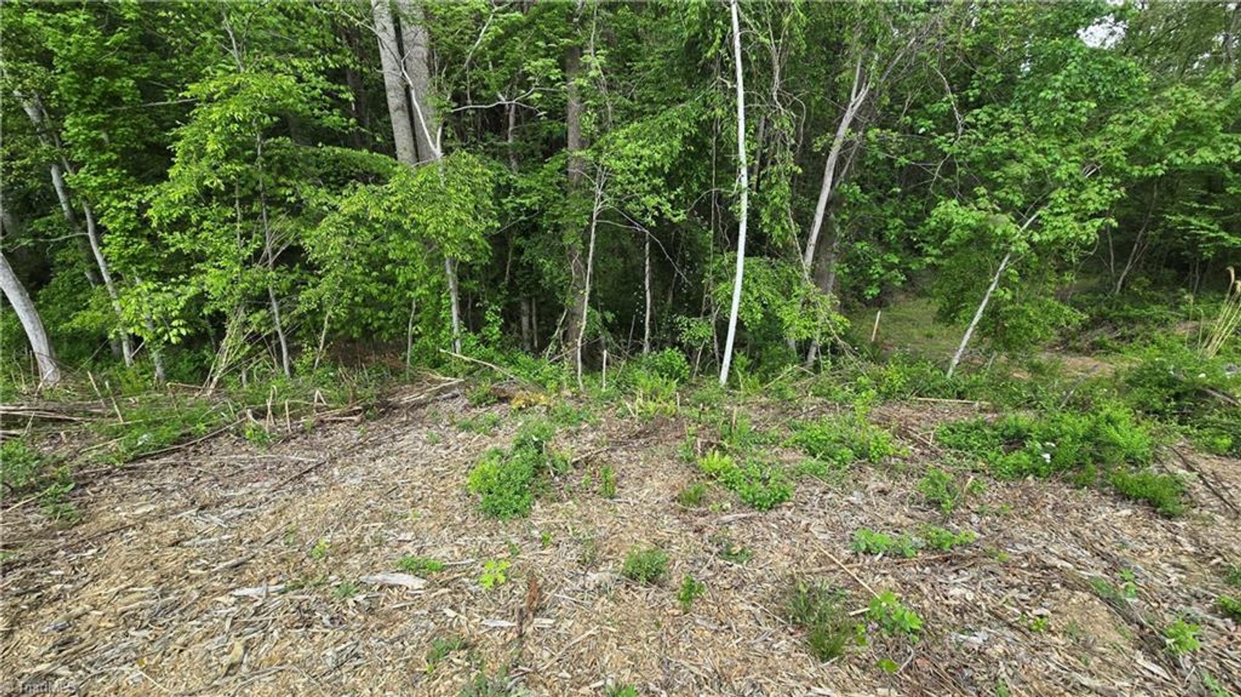 Image for Land For Sale in Mount Airy - Lot# 31 Meadowlark Road
