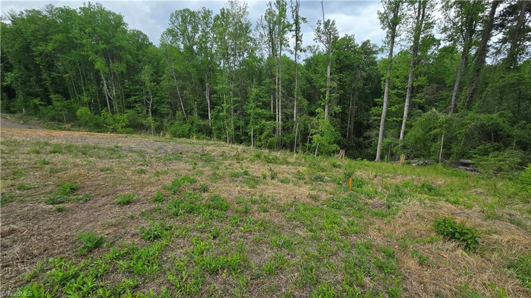Image for Land For Sale in Mount Airy - Lot# 31 Meadowlark Road