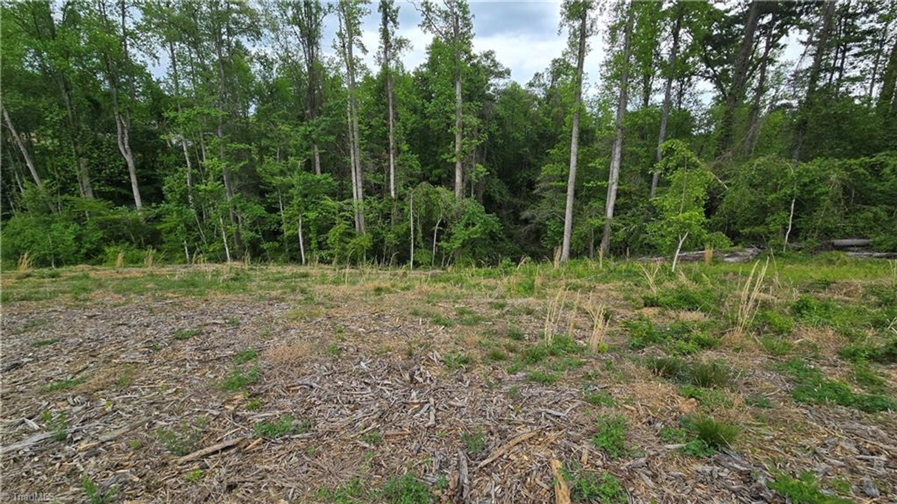 Image for Land For Sale in Mount Airy - Lot# 31 Meadowlark Road