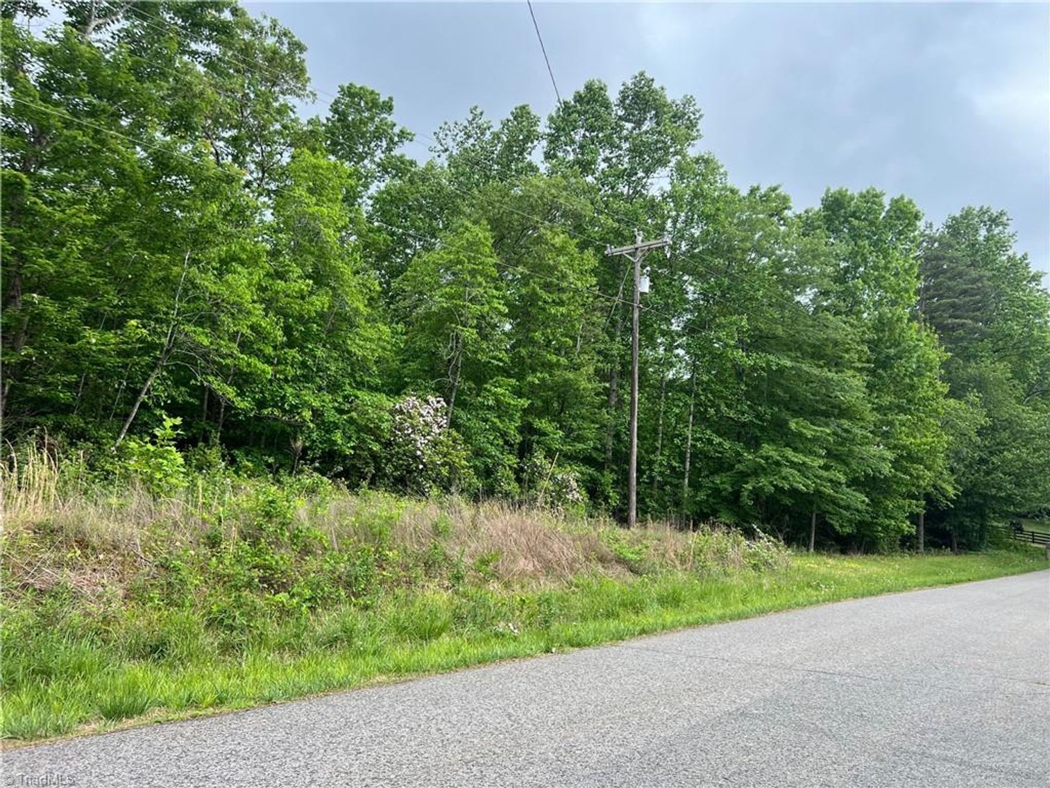 Image for Land For Sale in Dobson - 0 Gillespie Street