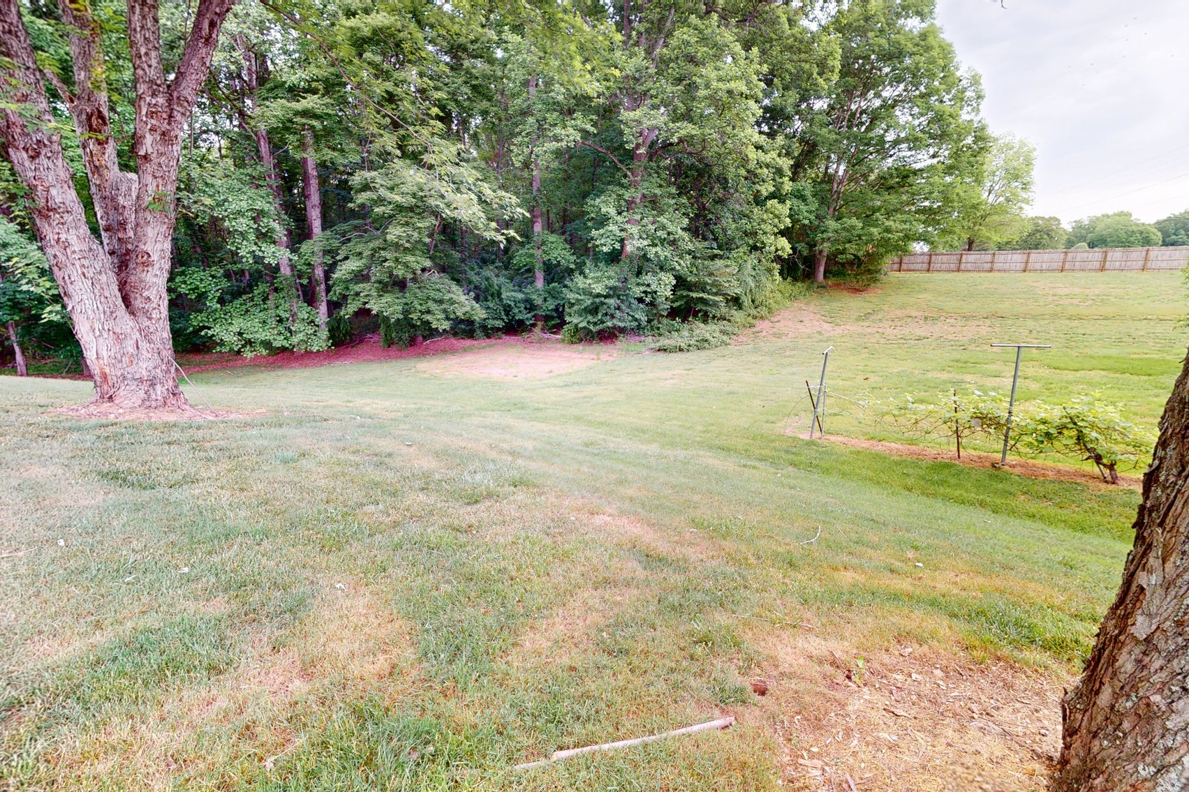 Image for Home For Sale in Dobson - 260 Buck Ford Road