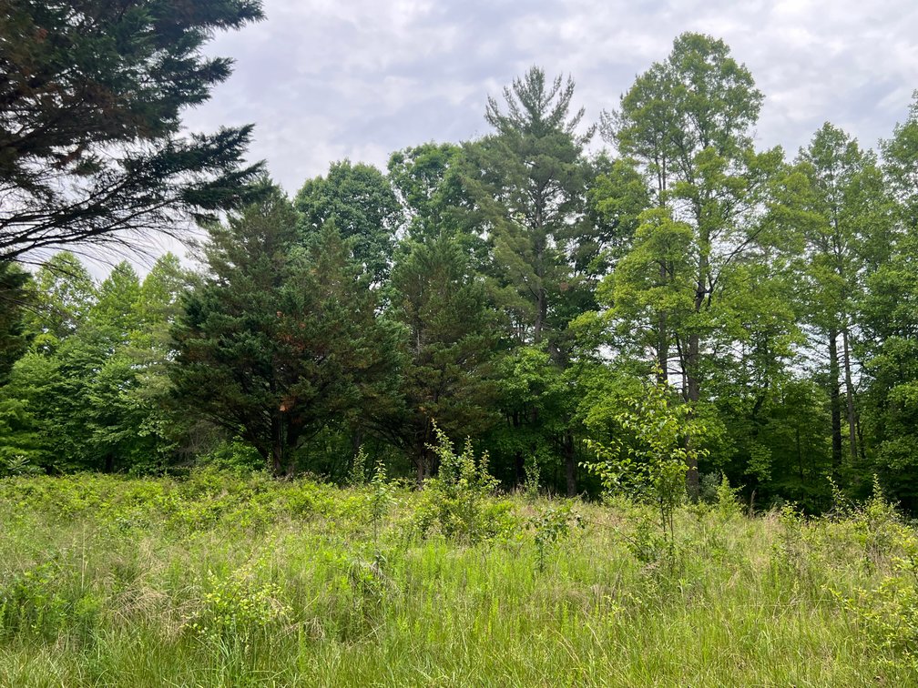Image for Commissioner’s Sale: 10± Acres in Mount Airy, NC | Hugh Campbell & Charles Briggs, C0-Comm.