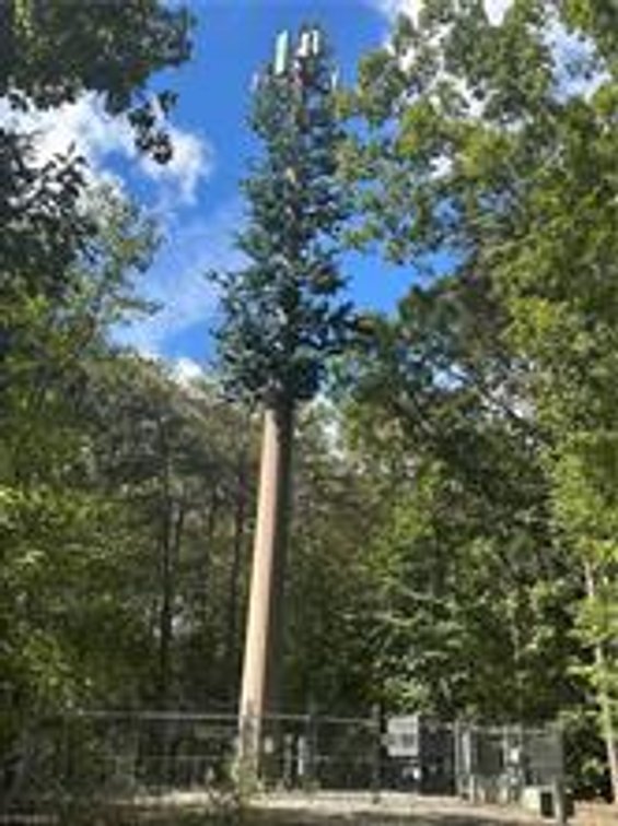Image for Land For Sale in Oak Ridge - 8410 Lineville Road