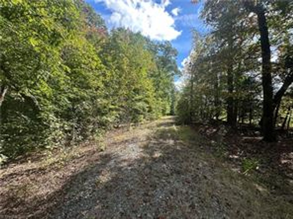 Image for Land For Sale in Oak Ridge - 8410 Lineville Road