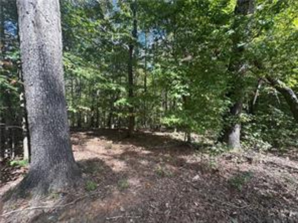 Image for Land For Sale in Oak Ridge - 8410 Lineville Road