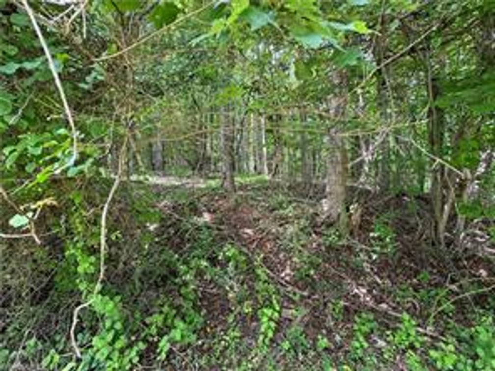 Image for Land For Sale in Mount Airy - 172 Poteat Road