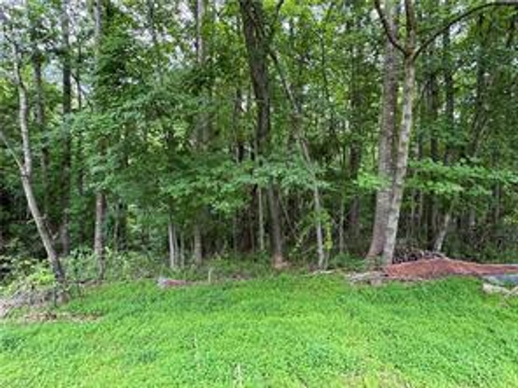 Image for Land For Sale in Mount Airy - 172 Poteat Road