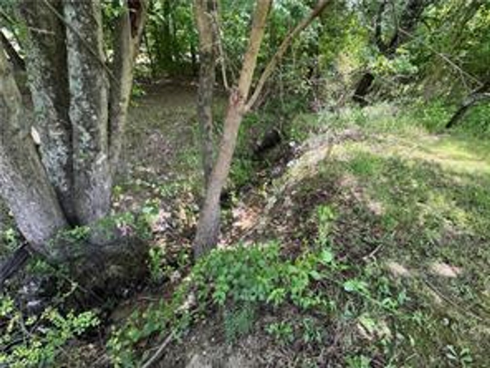 Image for Land For Sale in Mount Airy - 000 Eagle Lane