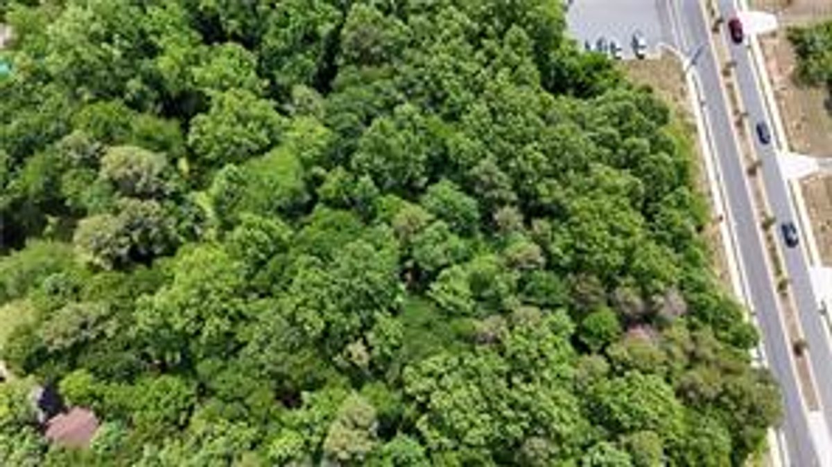 Image for Commercial Land For Sale in Lewisville - 00 Williams Road