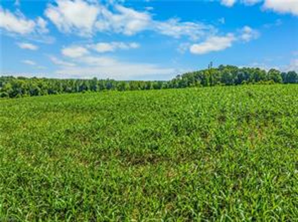 Image for Home For Sale in Dobson - 3323 Rockford Road