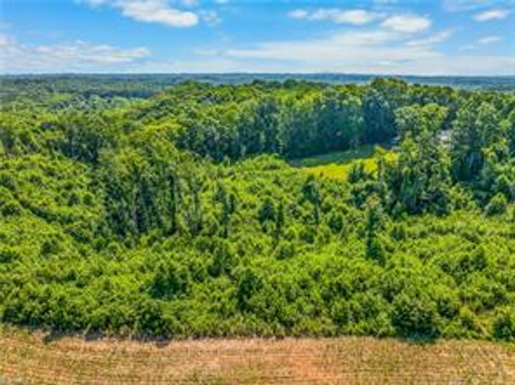 Image for Home For Sale in Dobson - 3323 Rockford Road
