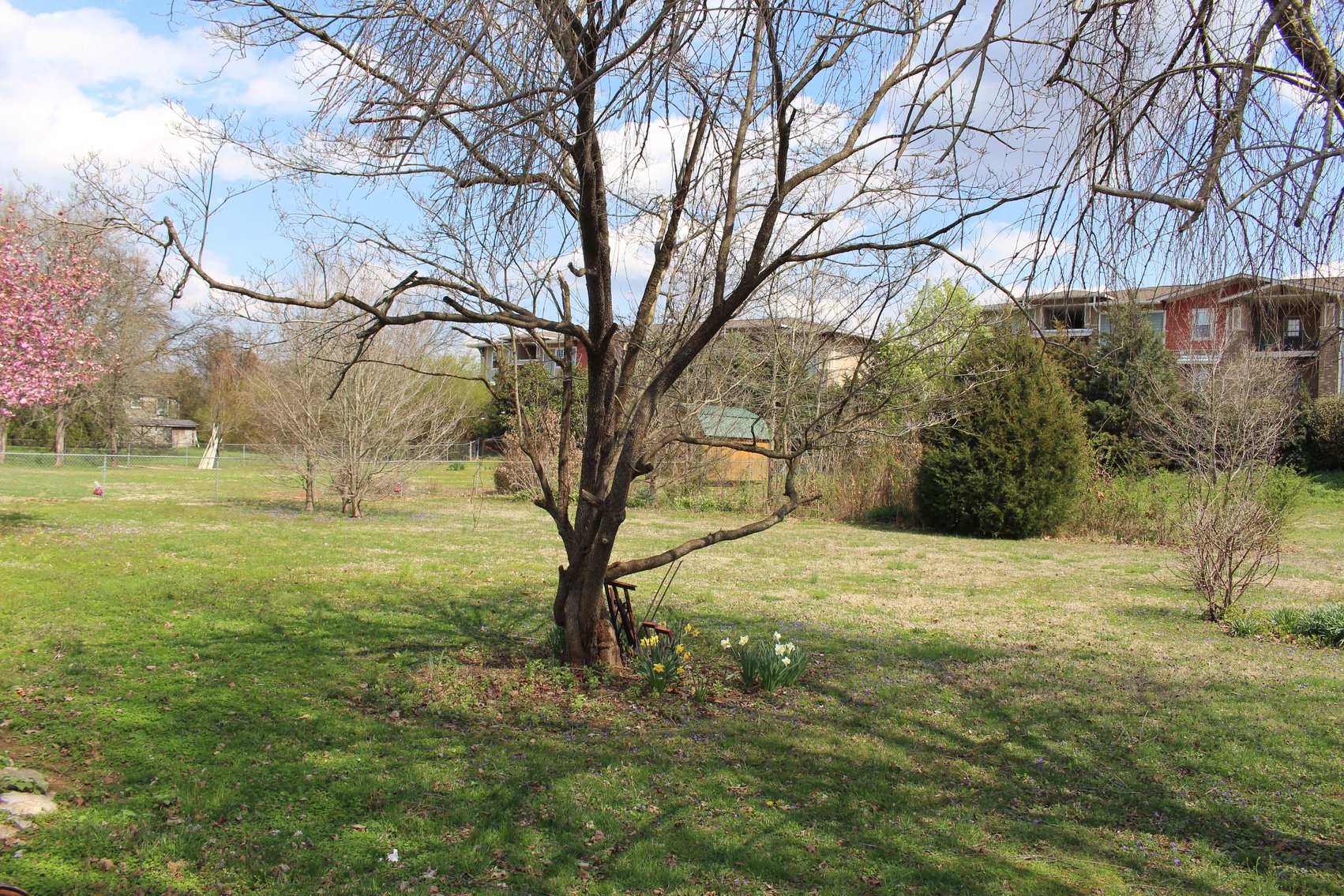 Image for 119 S Baird Lane, Murfreesboro
