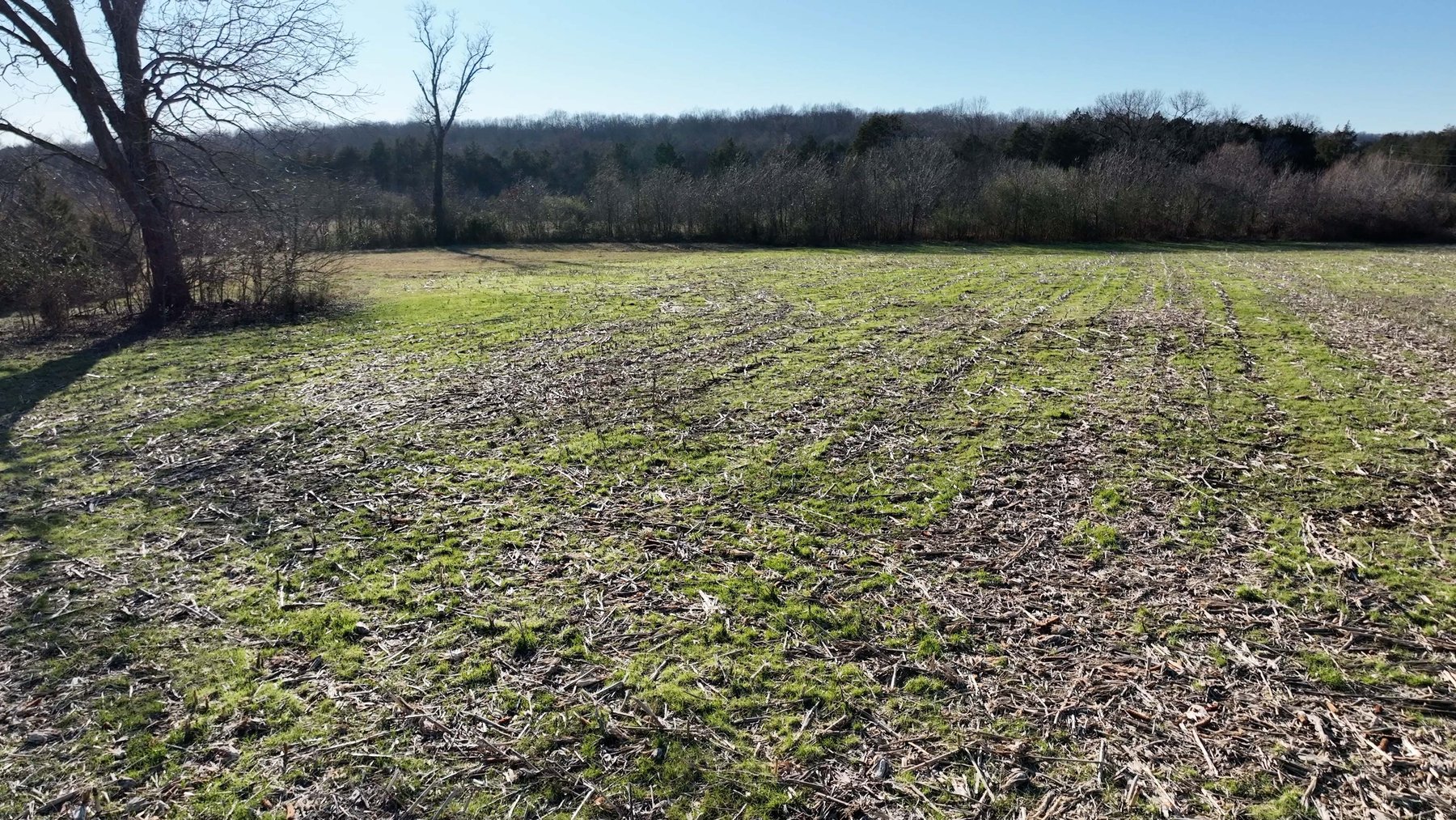 Image for 10914 Oregon Road, Lascassas