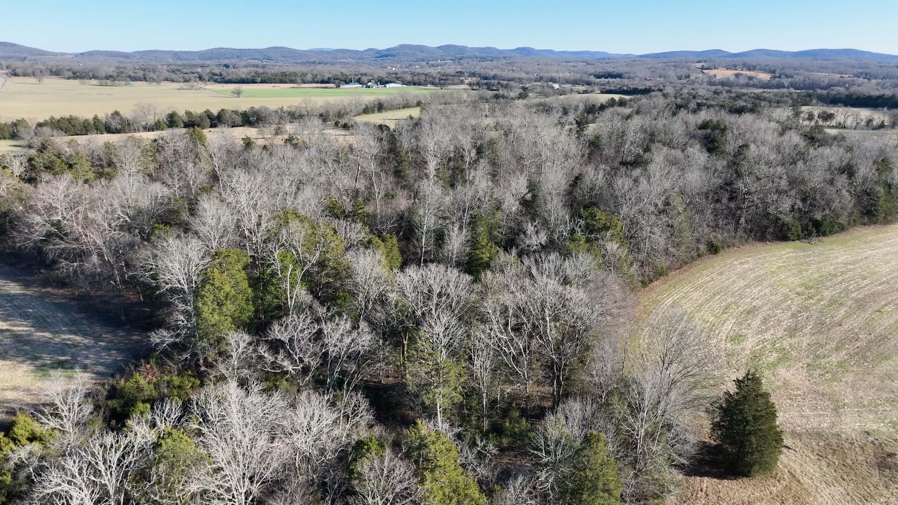 Image for 10914 Oregon Road, Lascassas