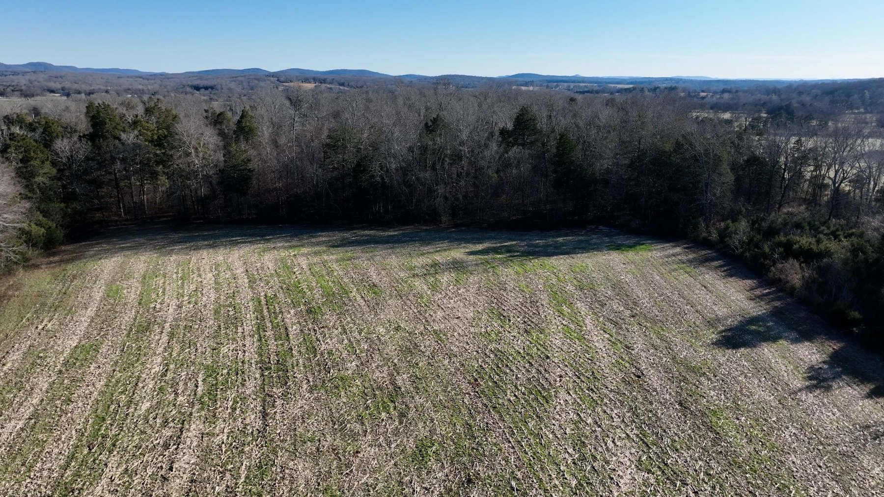 Image for 10914 Oregon Road, Lascassas