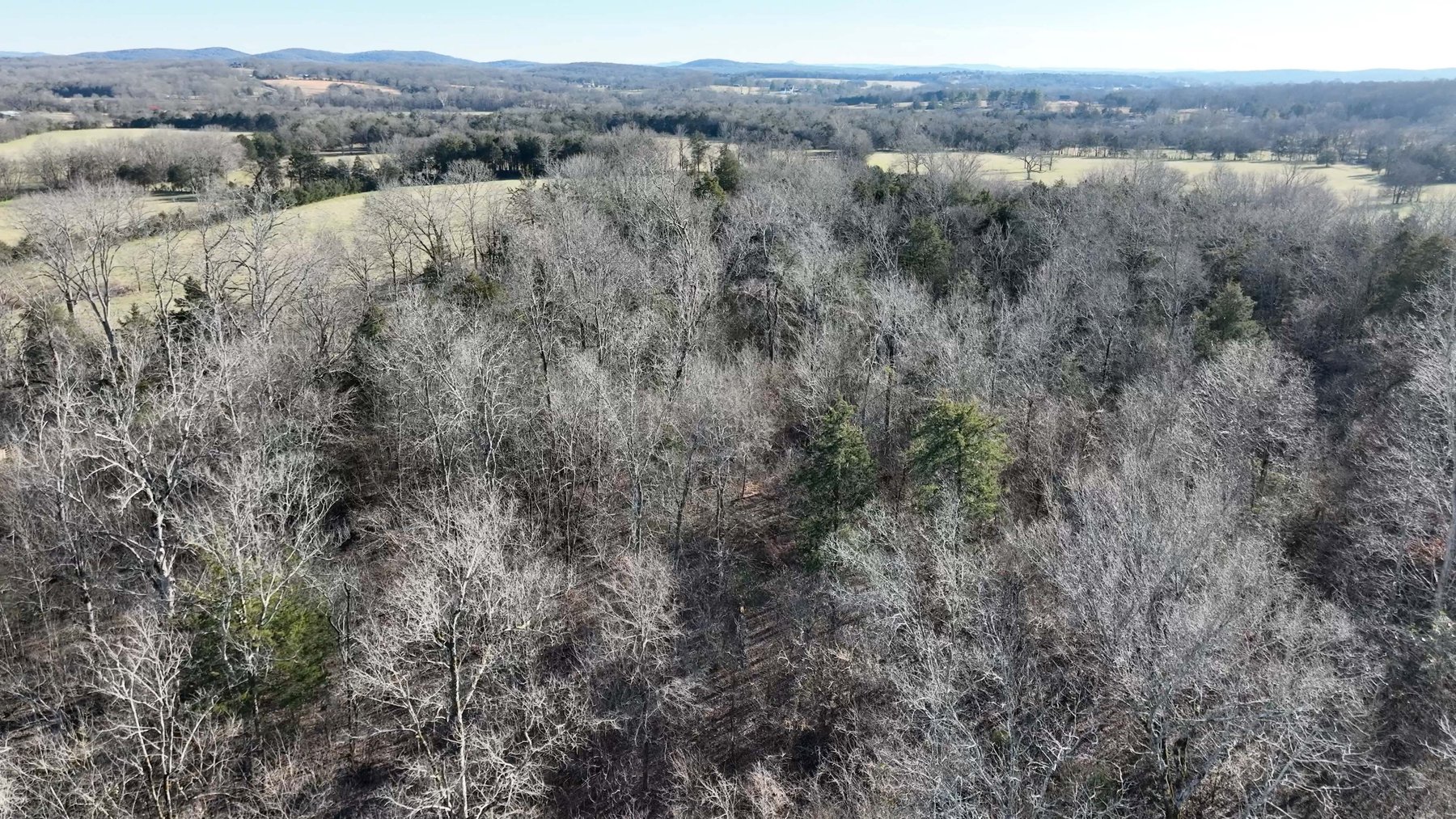 Image for 10914 Oregon Road, Lascassas