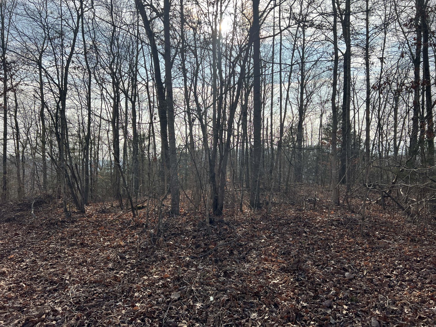 Image for Colepin Ridge Road, Celina