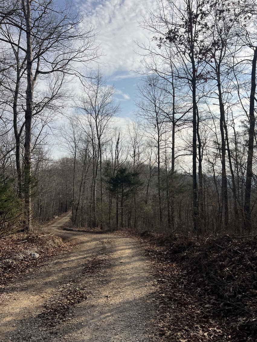 Image for Colepin Ridge Road, Celina