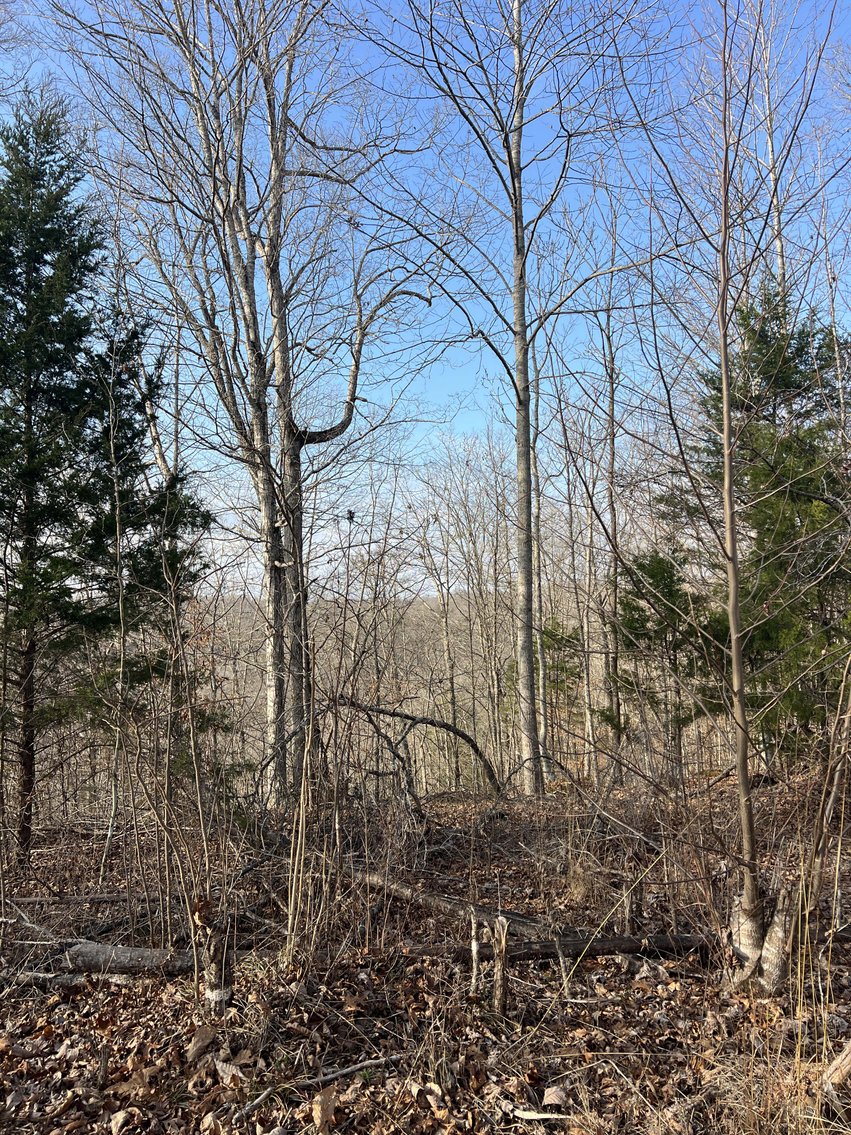 Image for Colepin Ridge Road, Celina