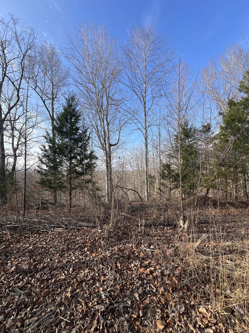 Image for Colepin Ridge Road, Celina