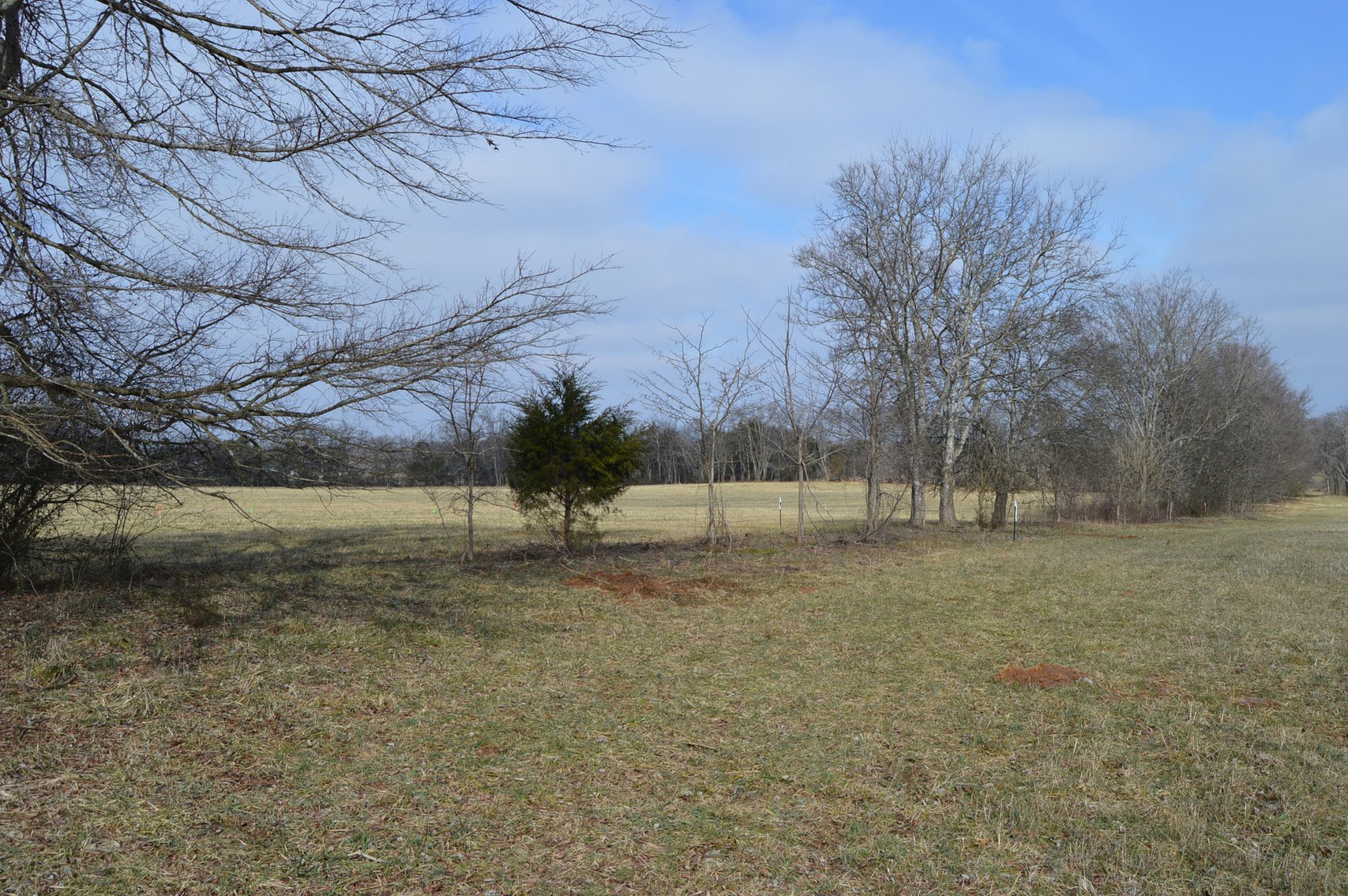 Image for 447 Pepper Hill Road, Bell Buckle