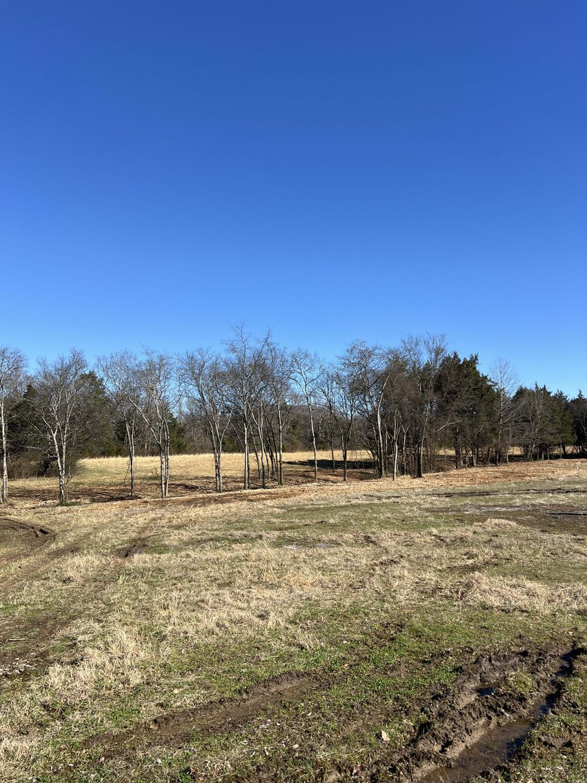 Image for Northcutt Road, Milton