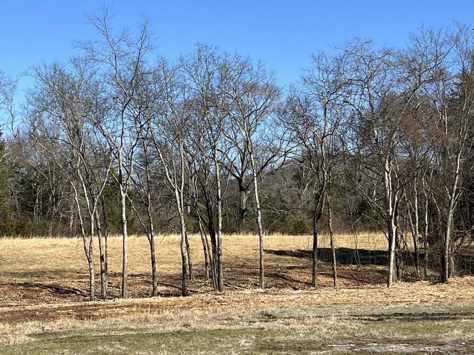 Image for Northcutt Road, Milton