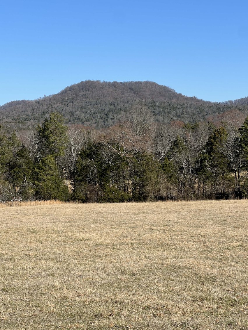 Image for Northcutt Road, Milton