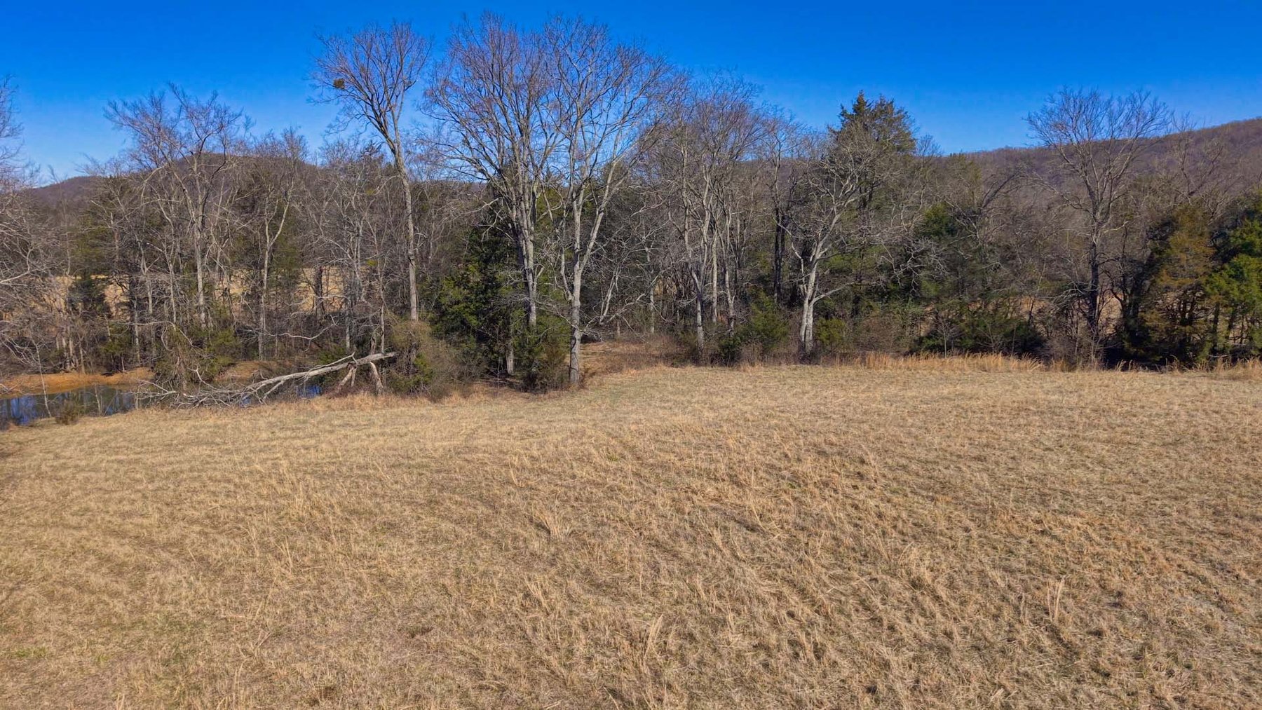 Image for Northcutt Road, Milton