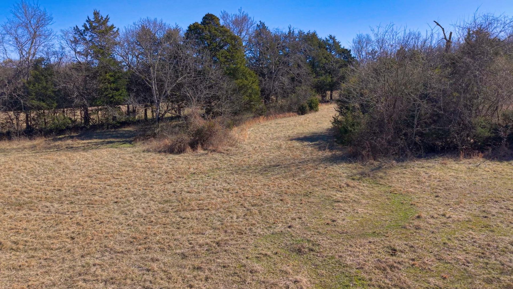 Image for Northcutt Road, Milton