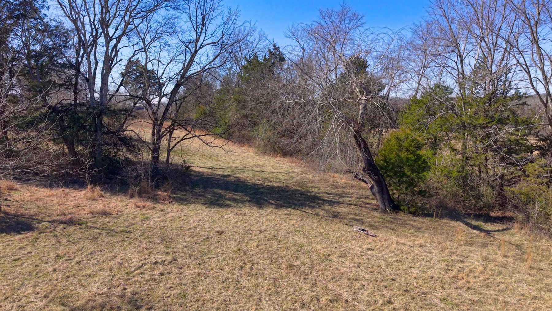 Image for Northcutt Road, Milton