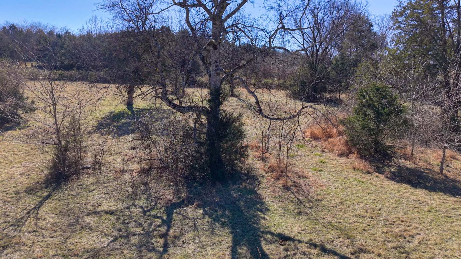 Image for Northcutt Road, Milton