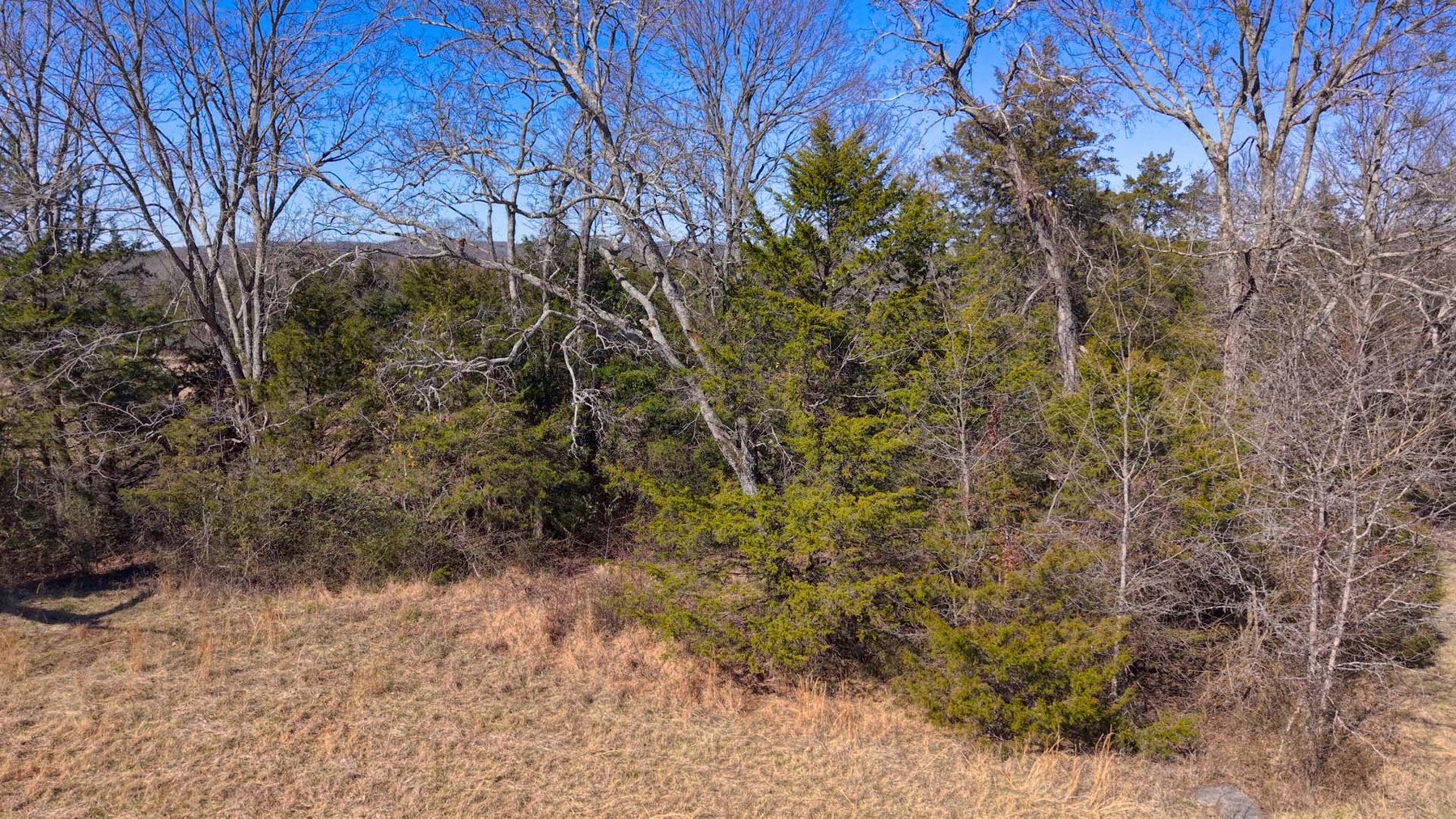 Image for Northcutt Road, Milton