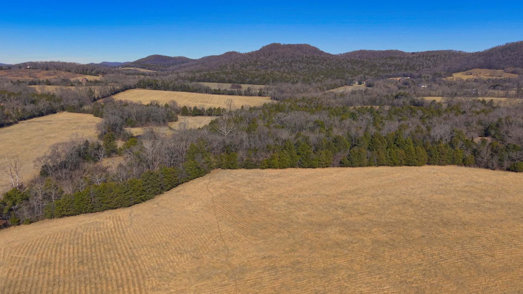 Image for Northcutt Road, Milton