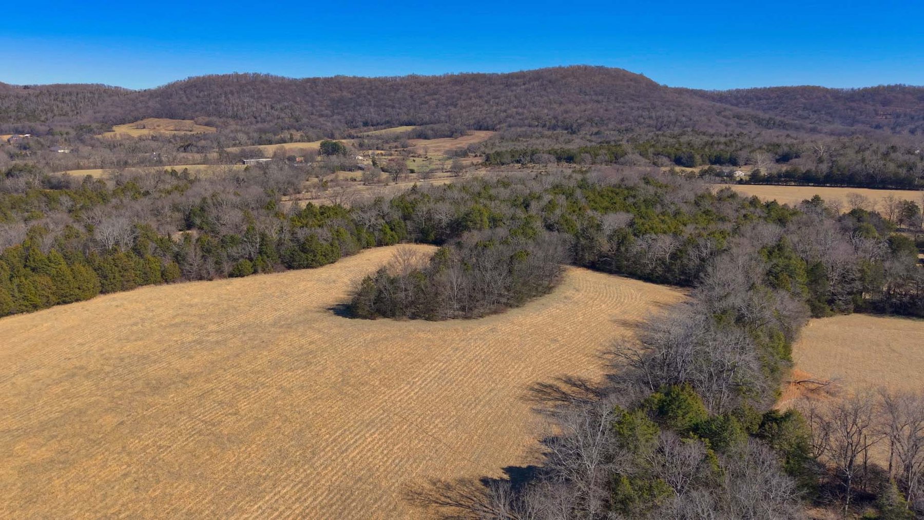 Image for Northcutt Road, Milton