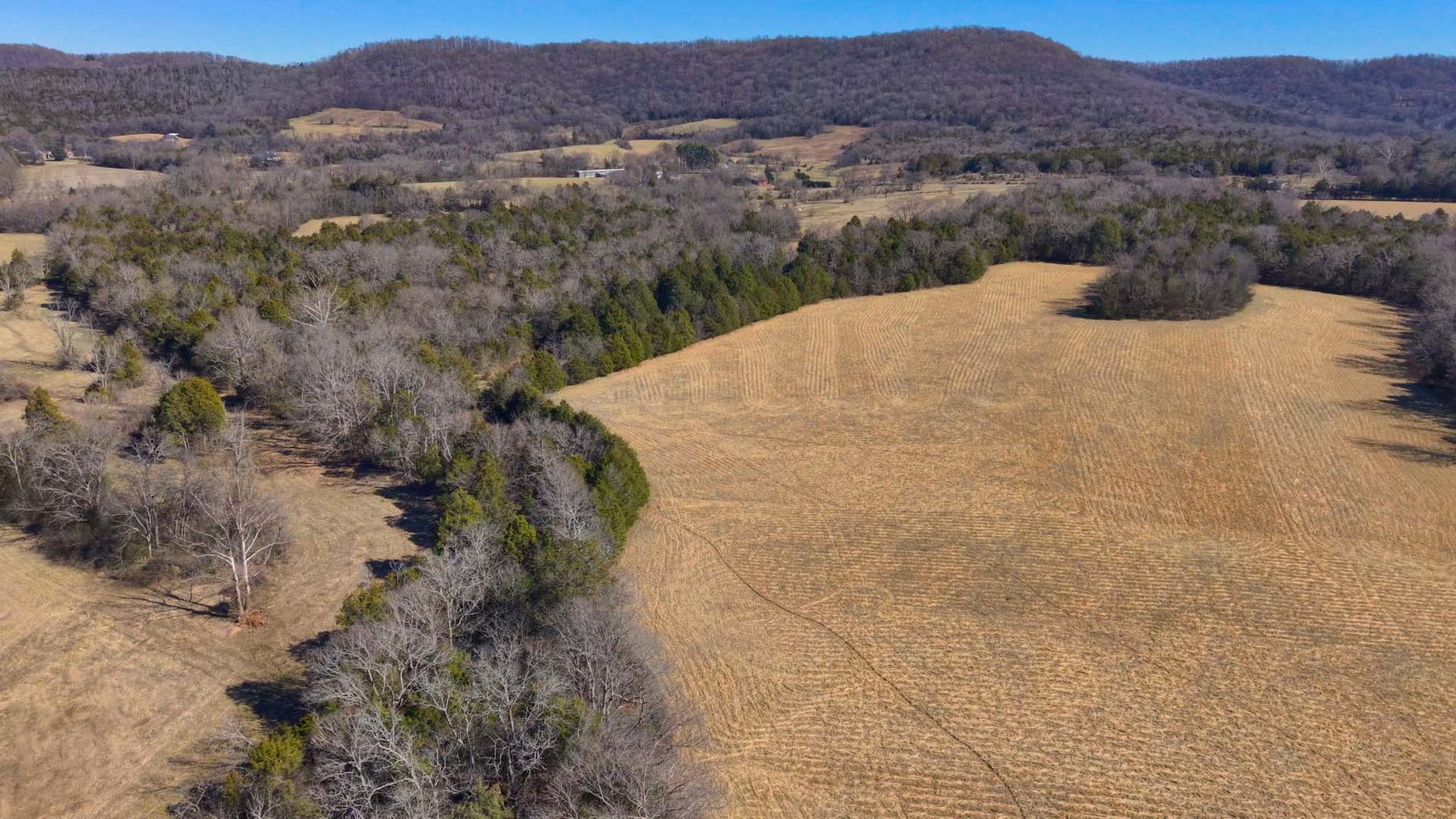 Image for Northcutt Road, Milton