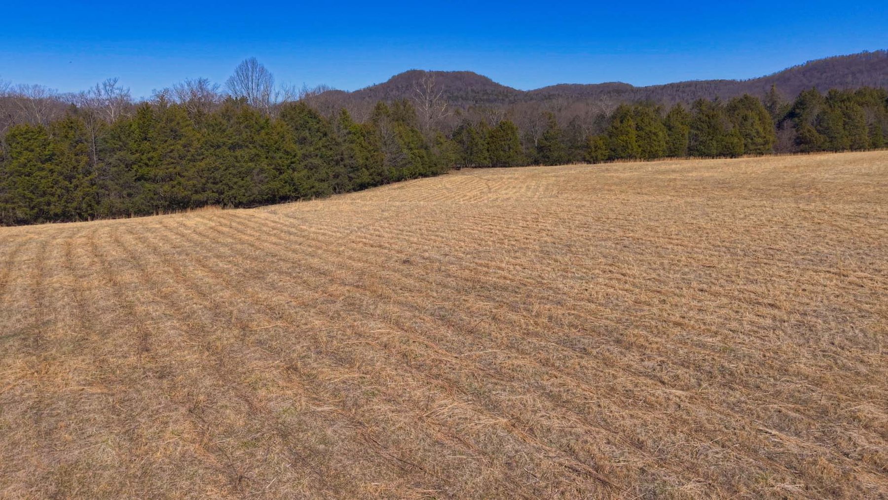 Image for Northcutt Road, Milton