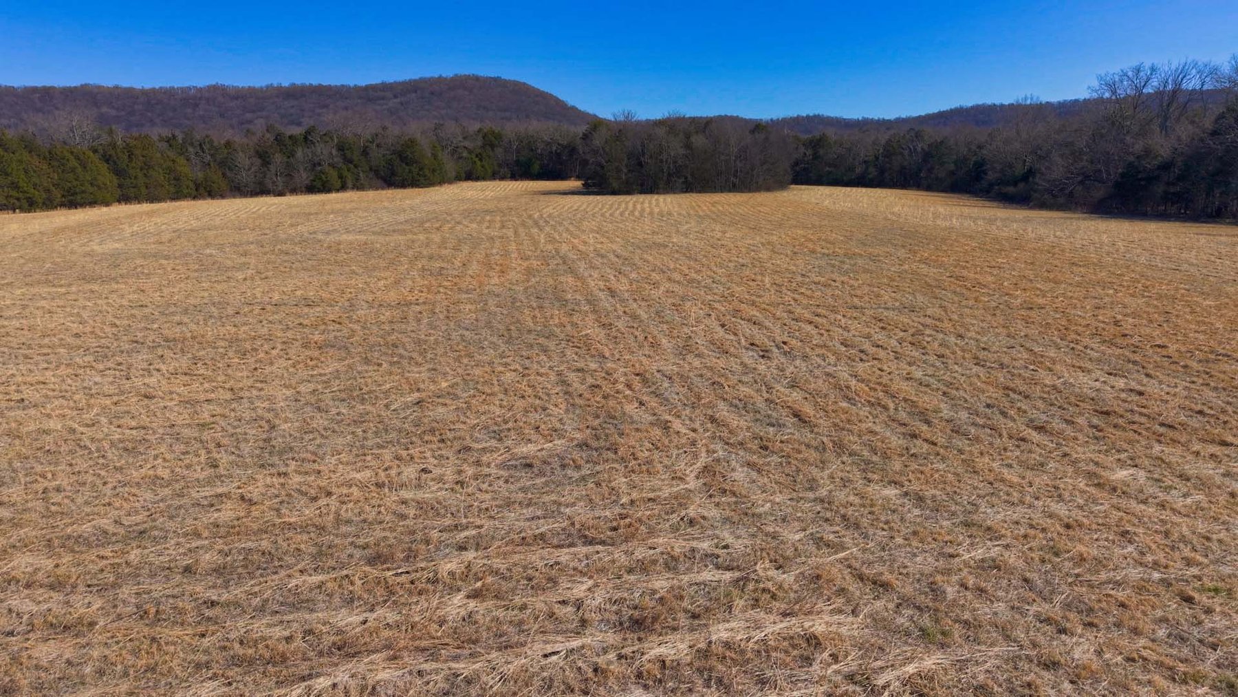 Image for Northcutt Road, Milton