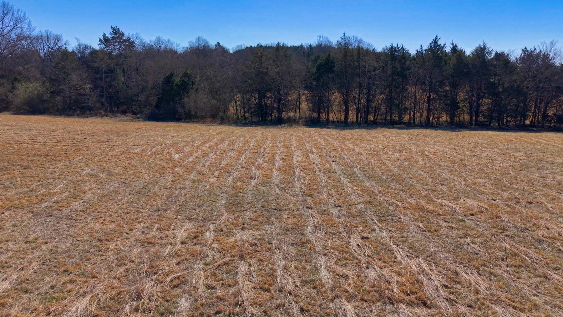 Image for Northcutt Road, Milton