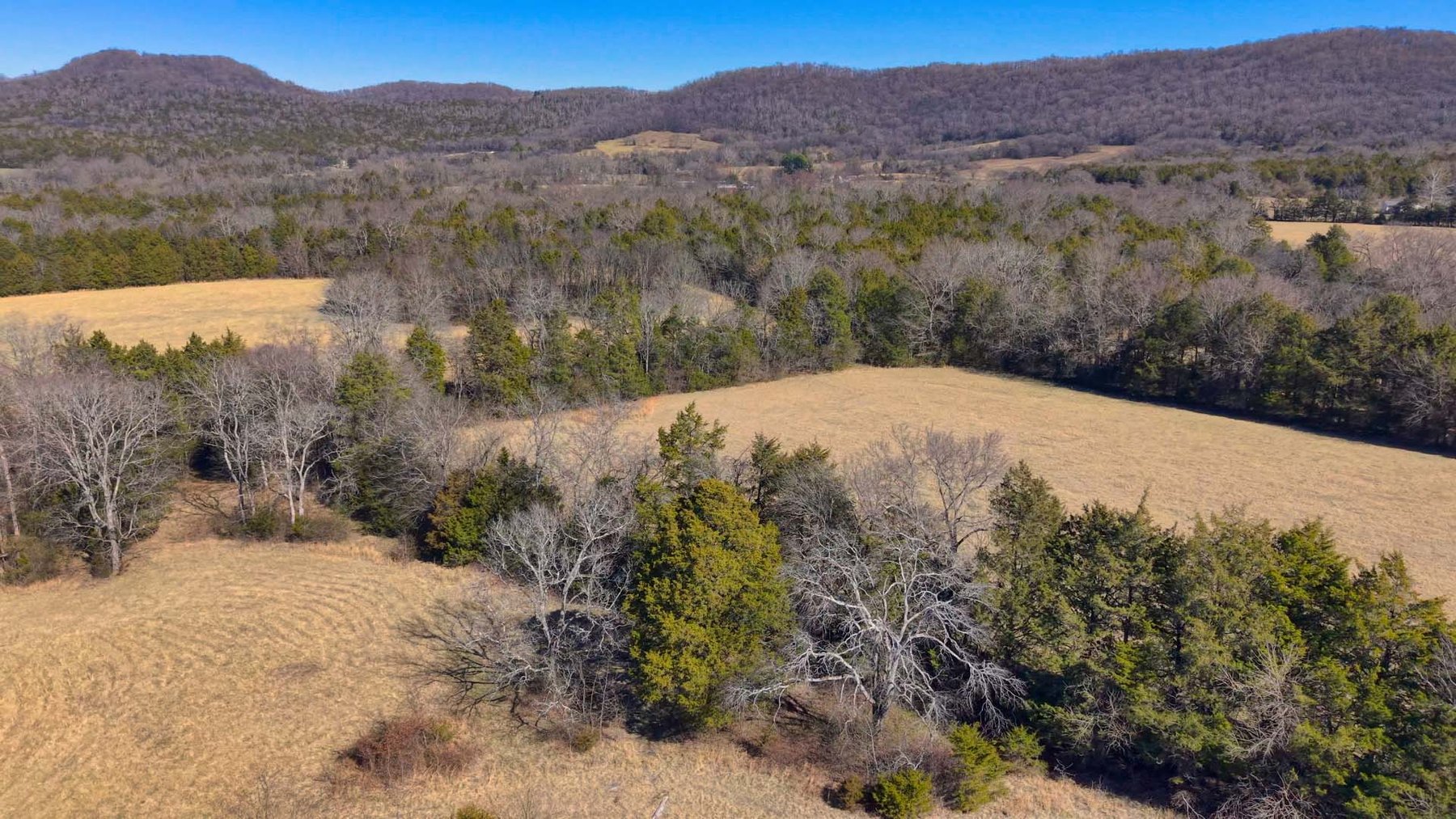 Image for Northcutt Road, Milton