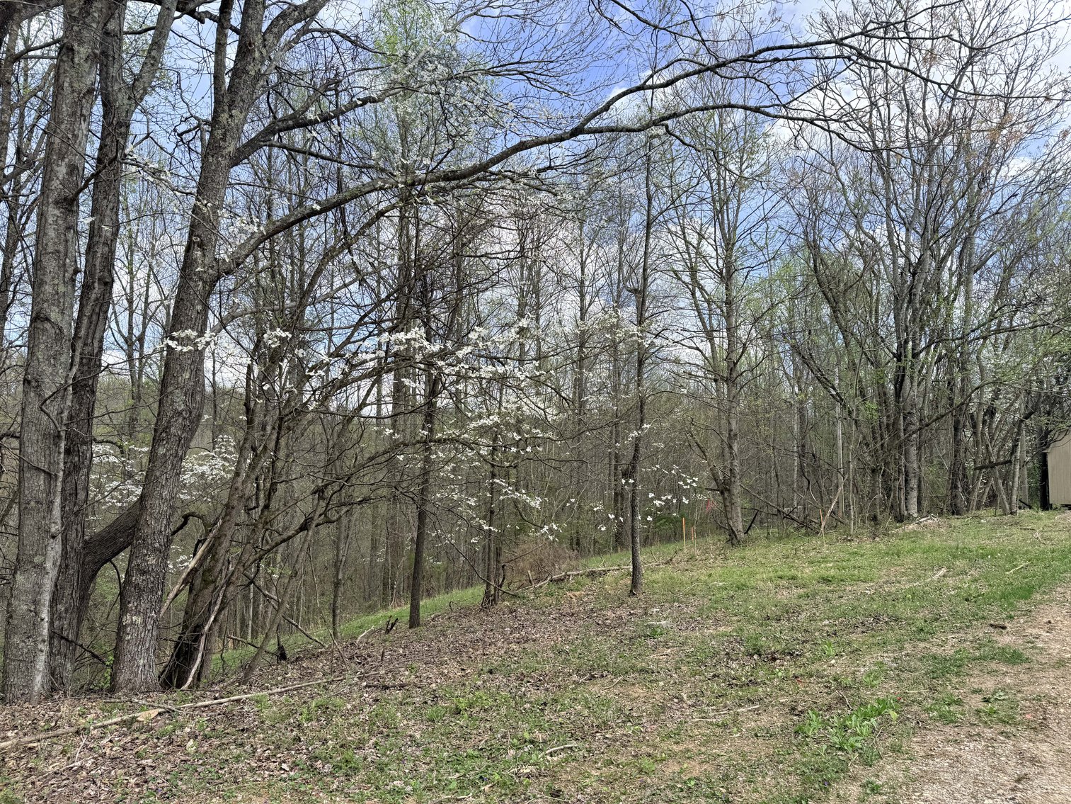 Image for 935 Sugar Tree Knob Rd, Liberty