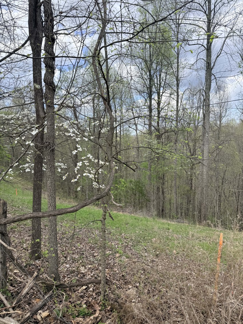 Image for 935 Sugar Tree Knob Rd, Liberty