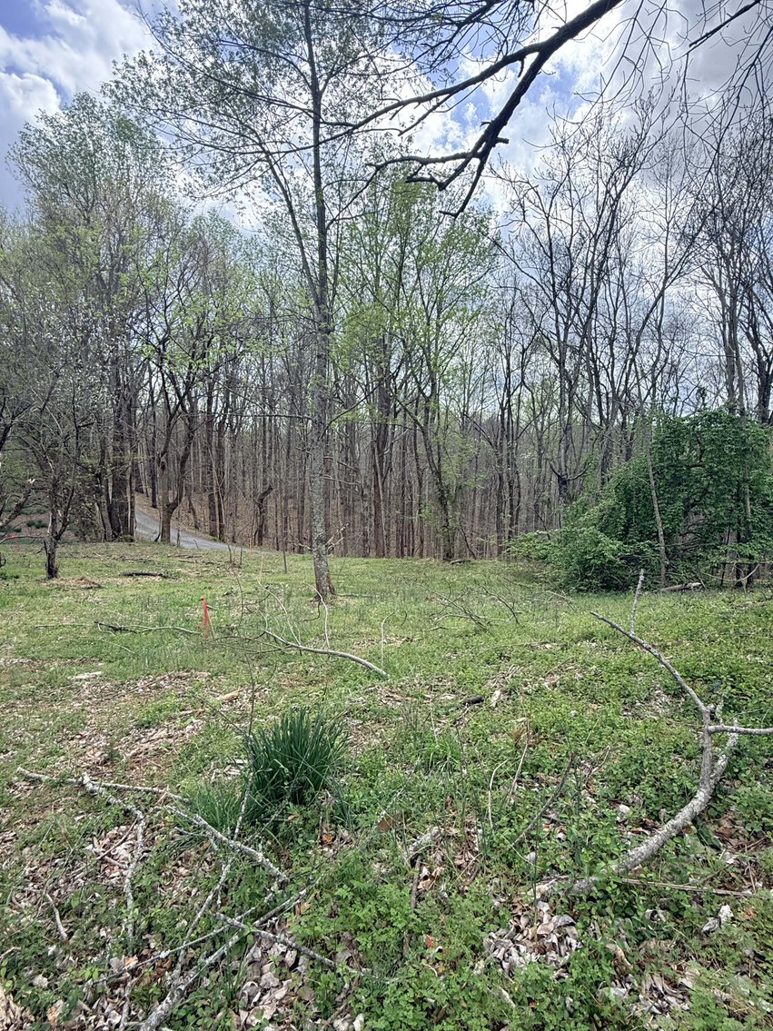 Image for 935 Sugar Tree Knob Rd, Liberty