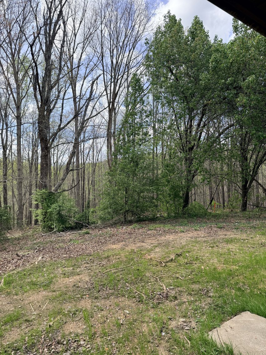 Image for 935 Sugar Tree Knob Rd, Liberty