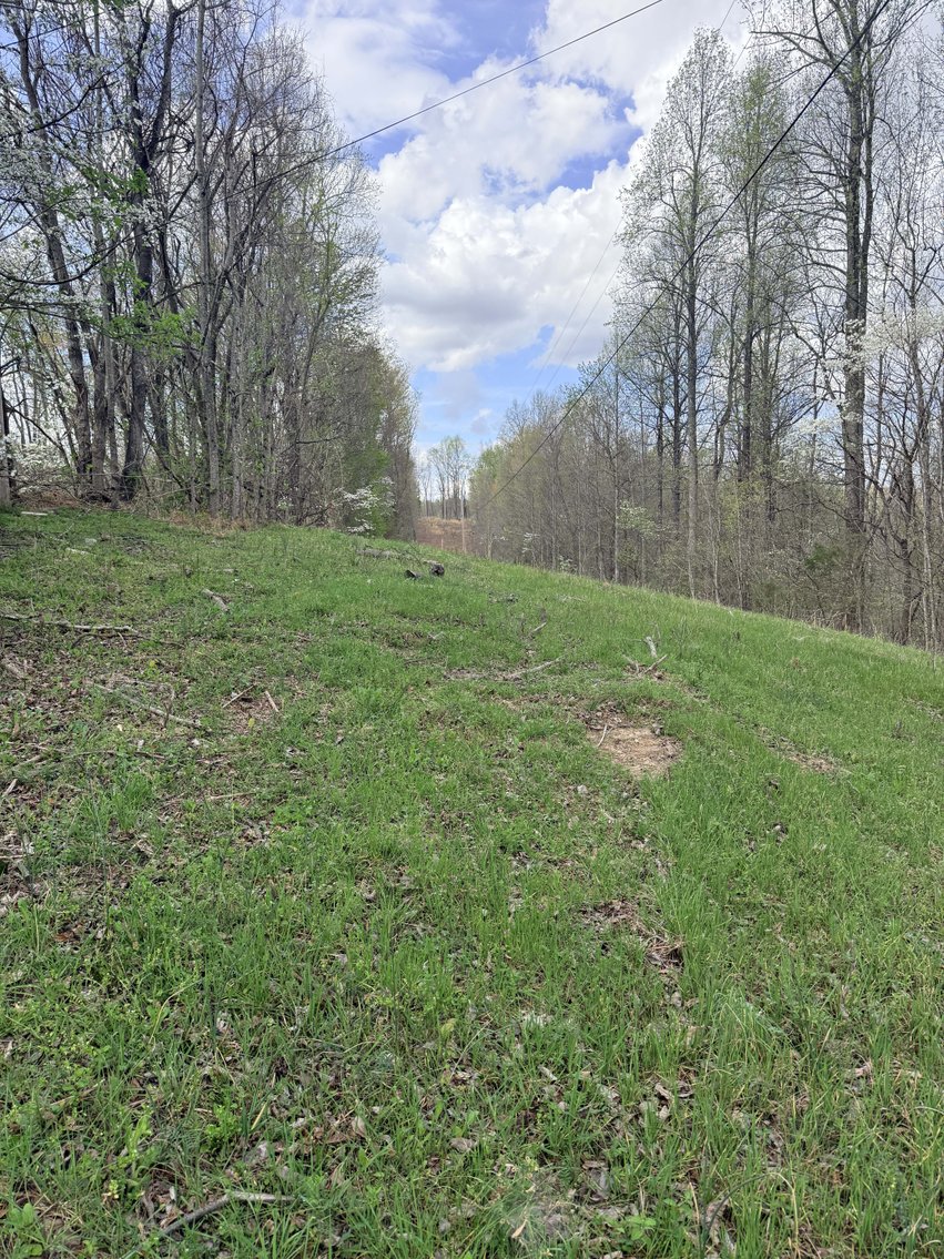 Image for 935 Sugar Tree Knob Rd, Liberty